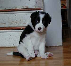 Hey, it's me - Sophie!