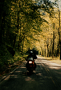 Tree Tunnell Riding!!